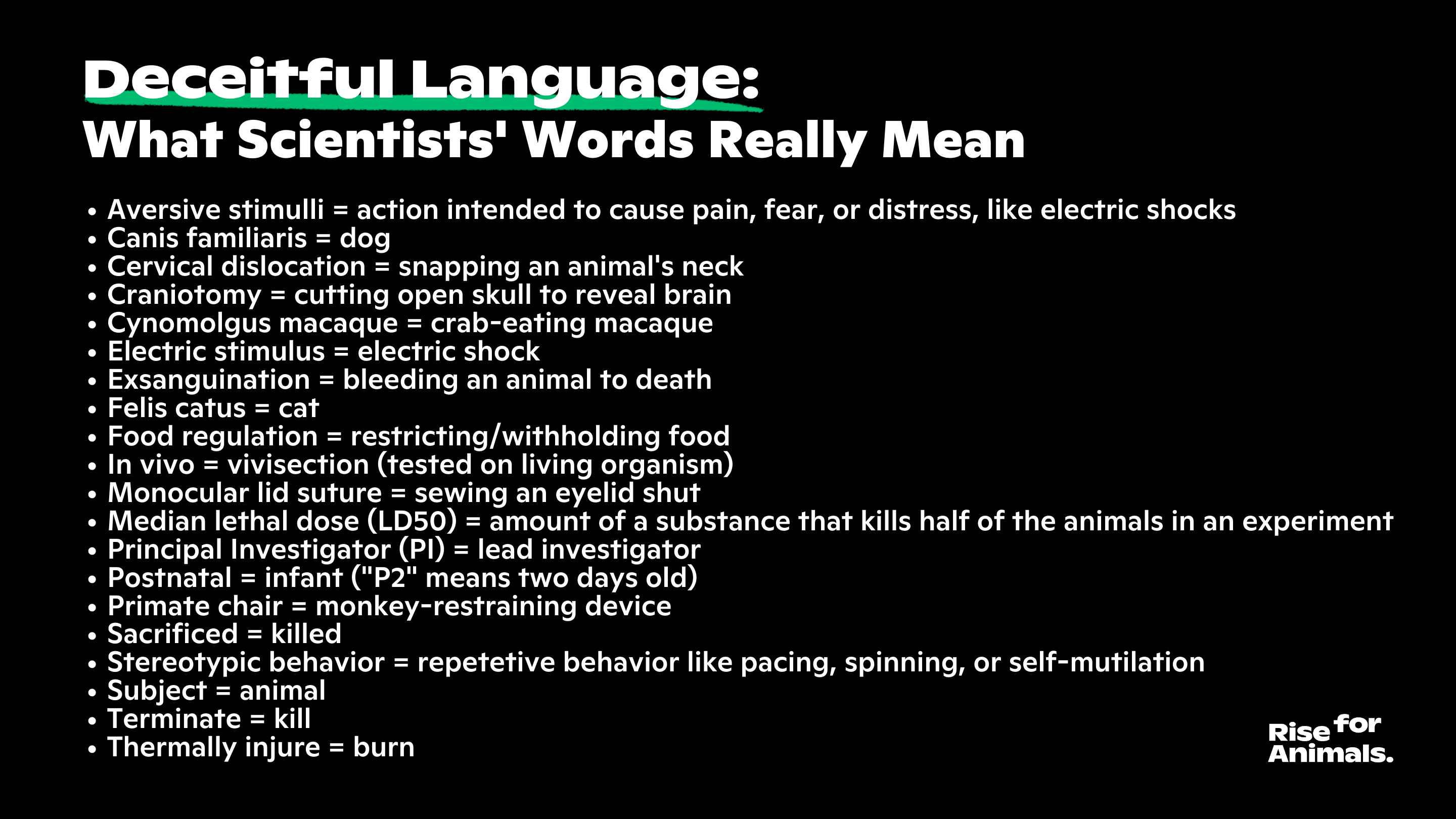 deciphering-deceitful-language-used-by-experimenters-rise-for-animals