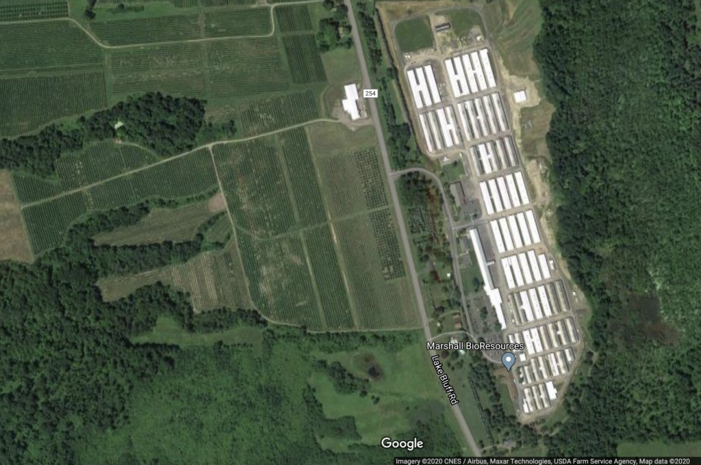 It's a Puppy Mill. It's a Factory Farm. Rise for Animals