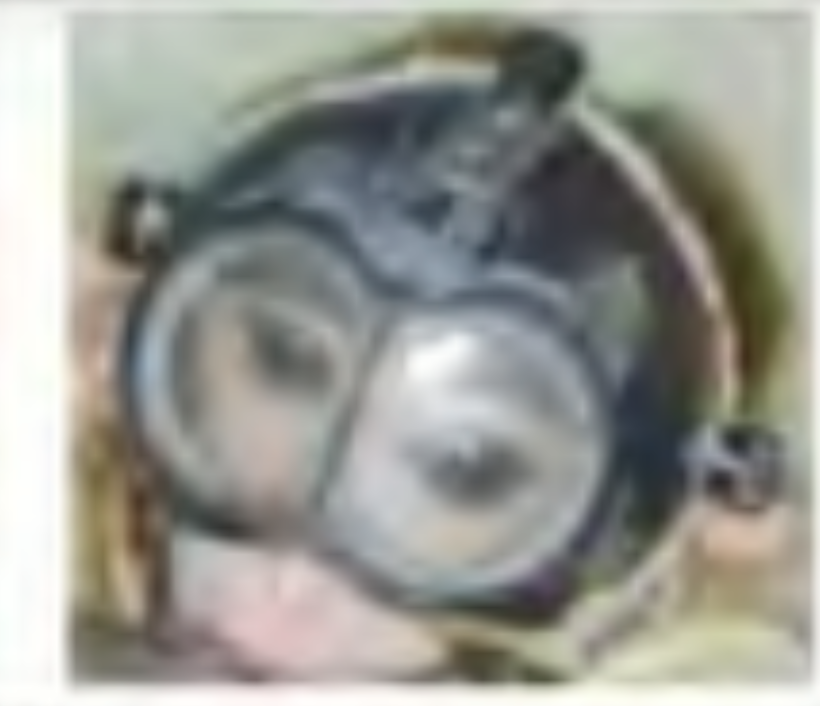 A blurry image uncovered by Rise for Animals shows a baby monkey trapped in a helmet that forever damages his vision