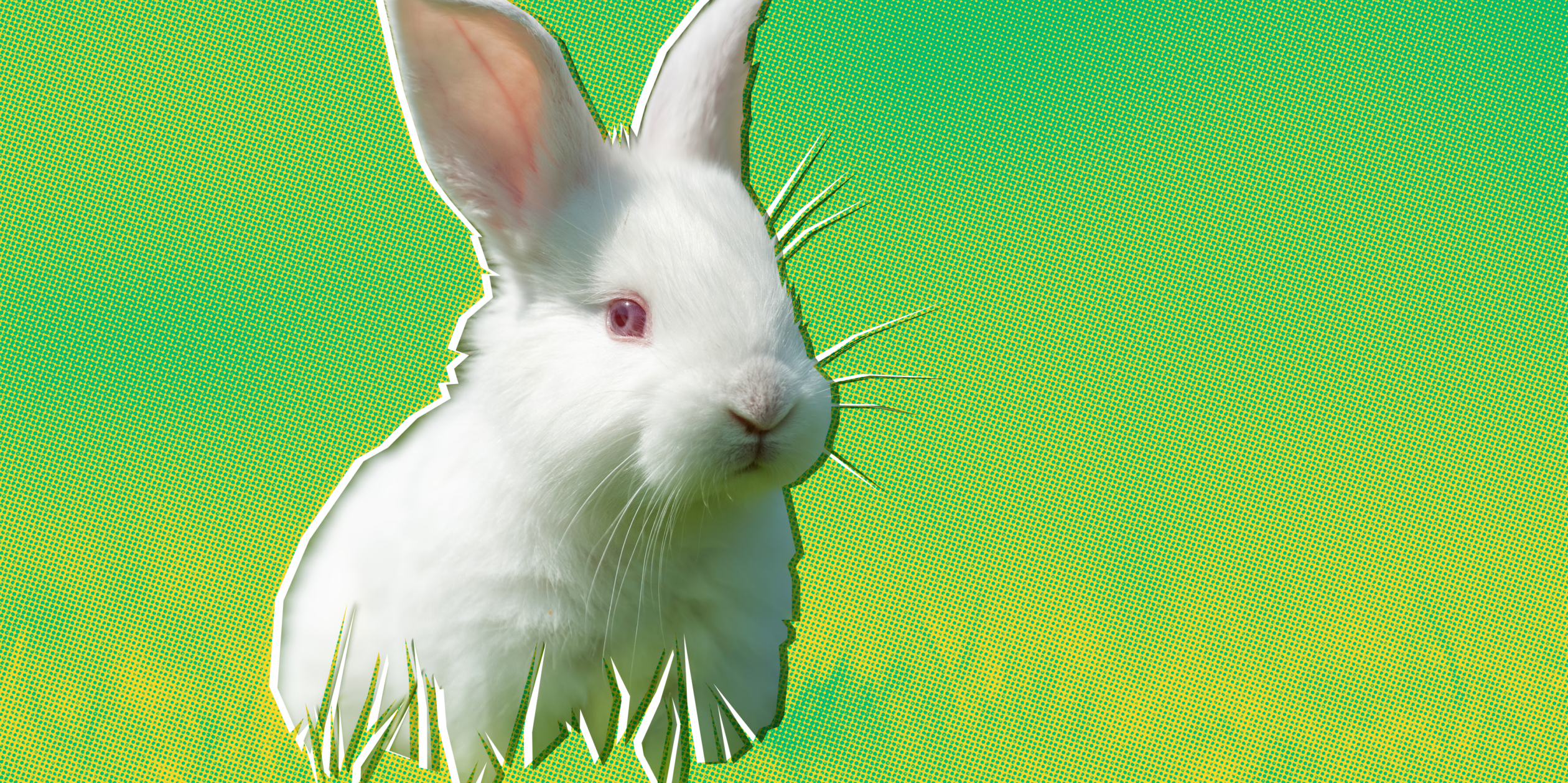 A white rabbit is displayed against a stylized green and yellow background