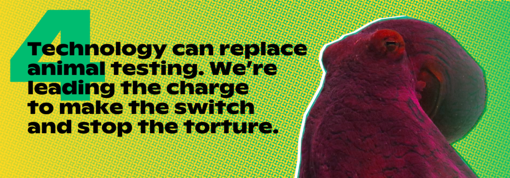 Technology can replace animal testing. We’re leading the charge to make the switch and stop the torture. 