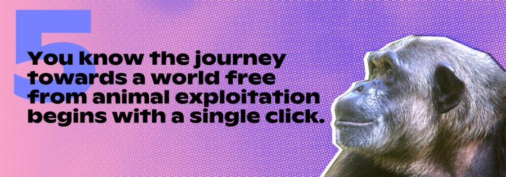 5. You know the journey towards a world free from animal exploitation begins with a single click.