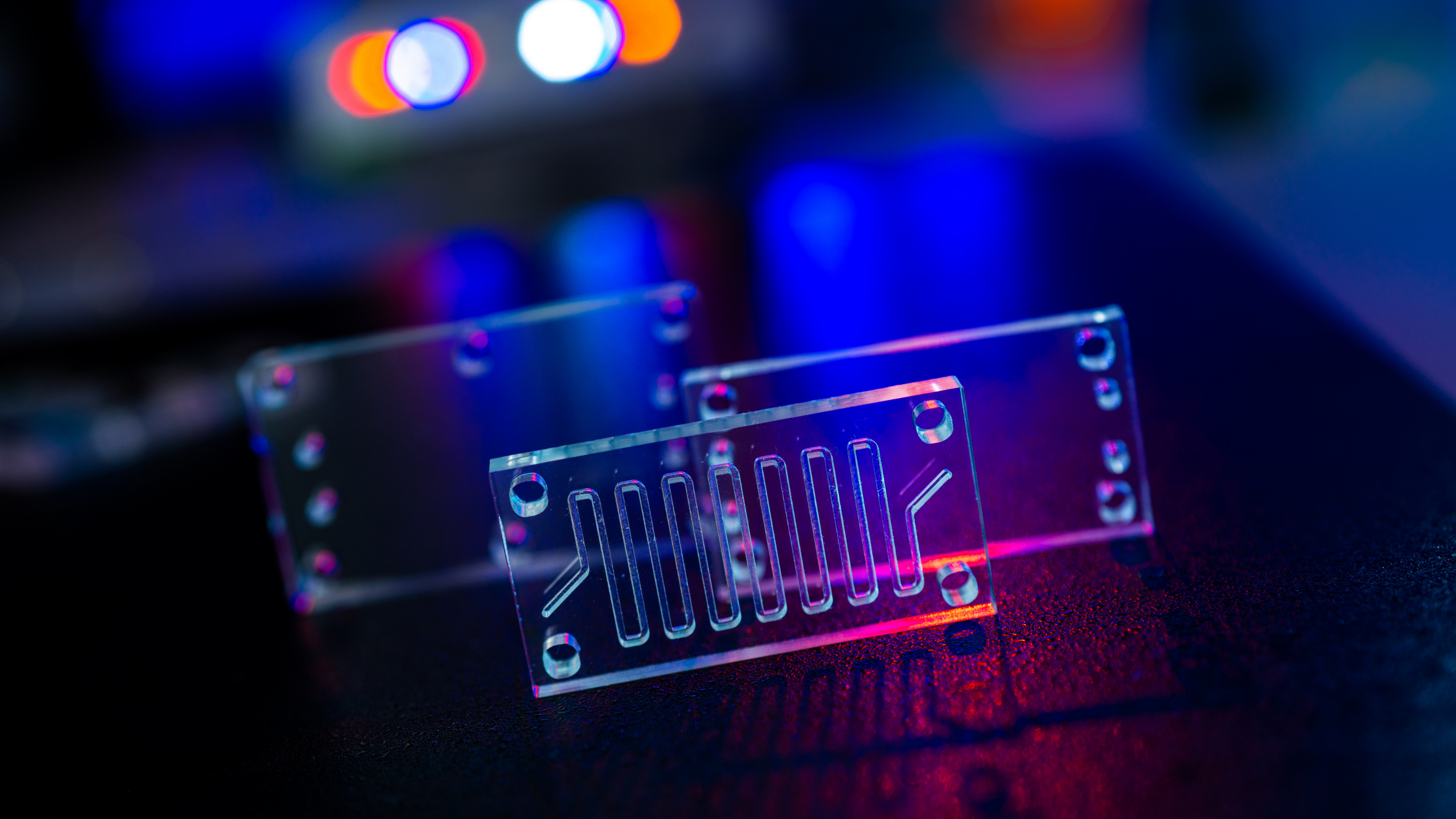 Photo of an organ-on-a-chip, a microfluidic device chip that simulates a human organ