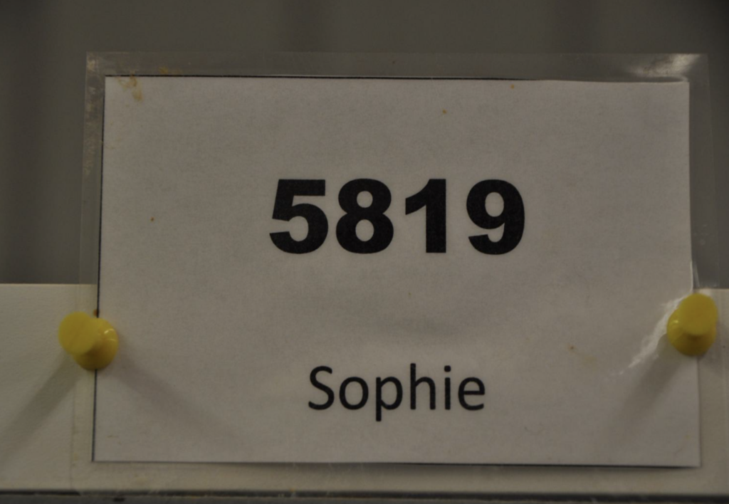 A sign on Sophie's cage at Riner & Associates indicates her "real" name is "5819"