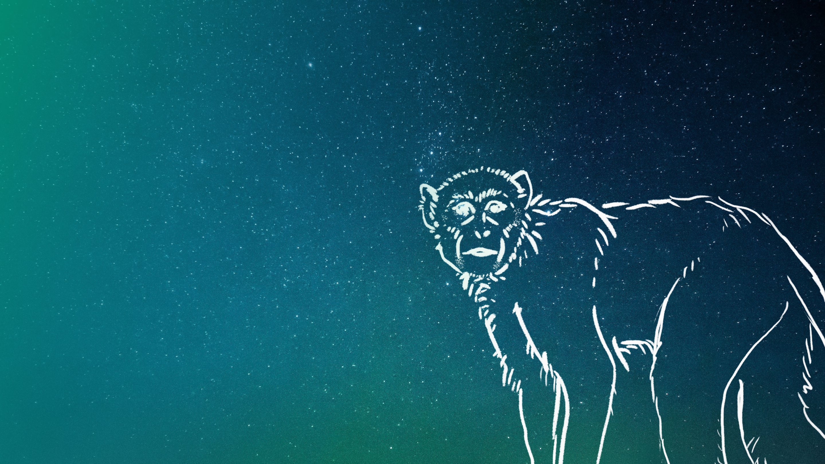 Image: A loose sketch of a monkey over a blue-green starry sky
