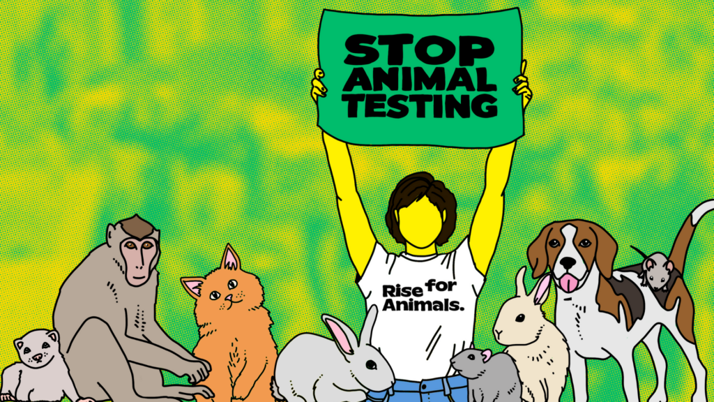 2021: Our Year to Save Animals – Rise for Animals