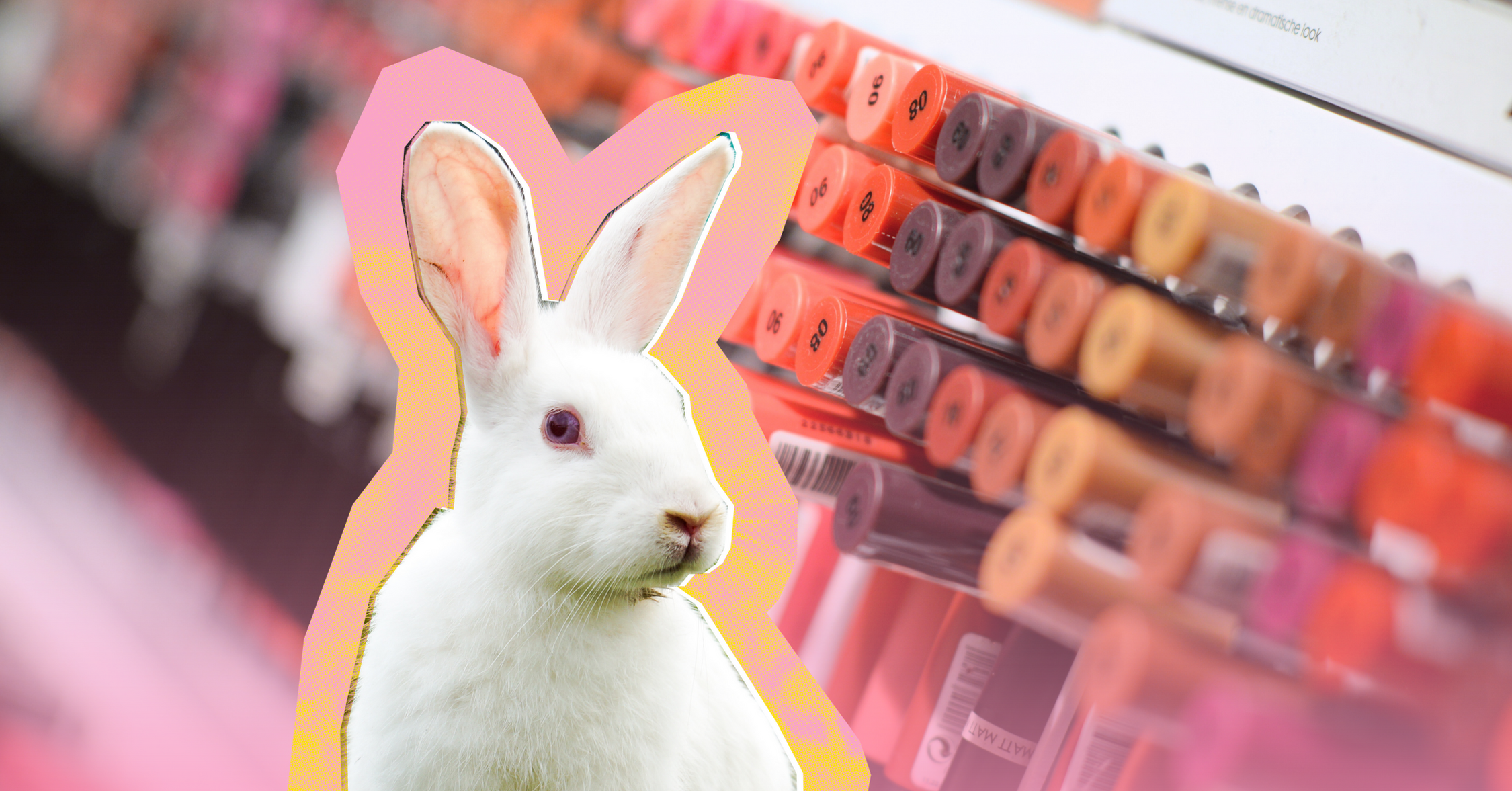 The US Department Of Transportation Is Moving Away From Animal Testing