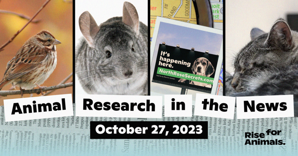 Animal Research News Roundup – Rise for Animals