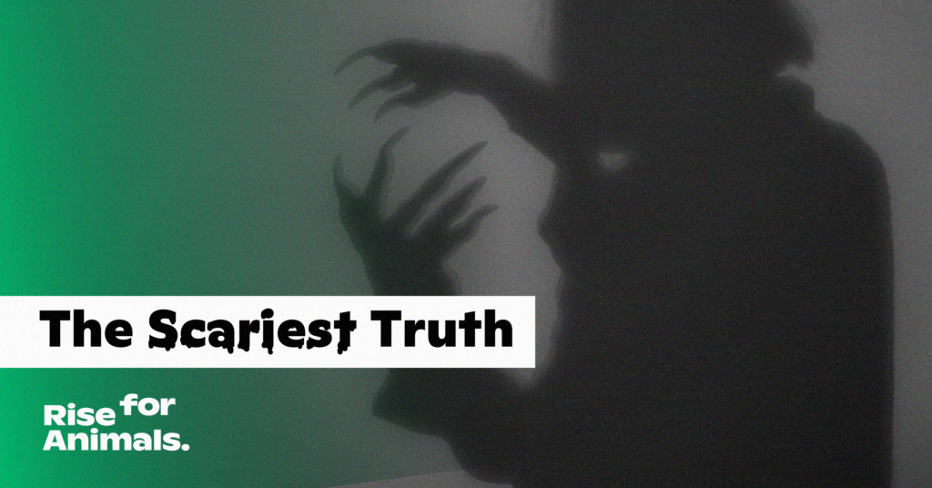 The Scariest Truth – Rise for Animals