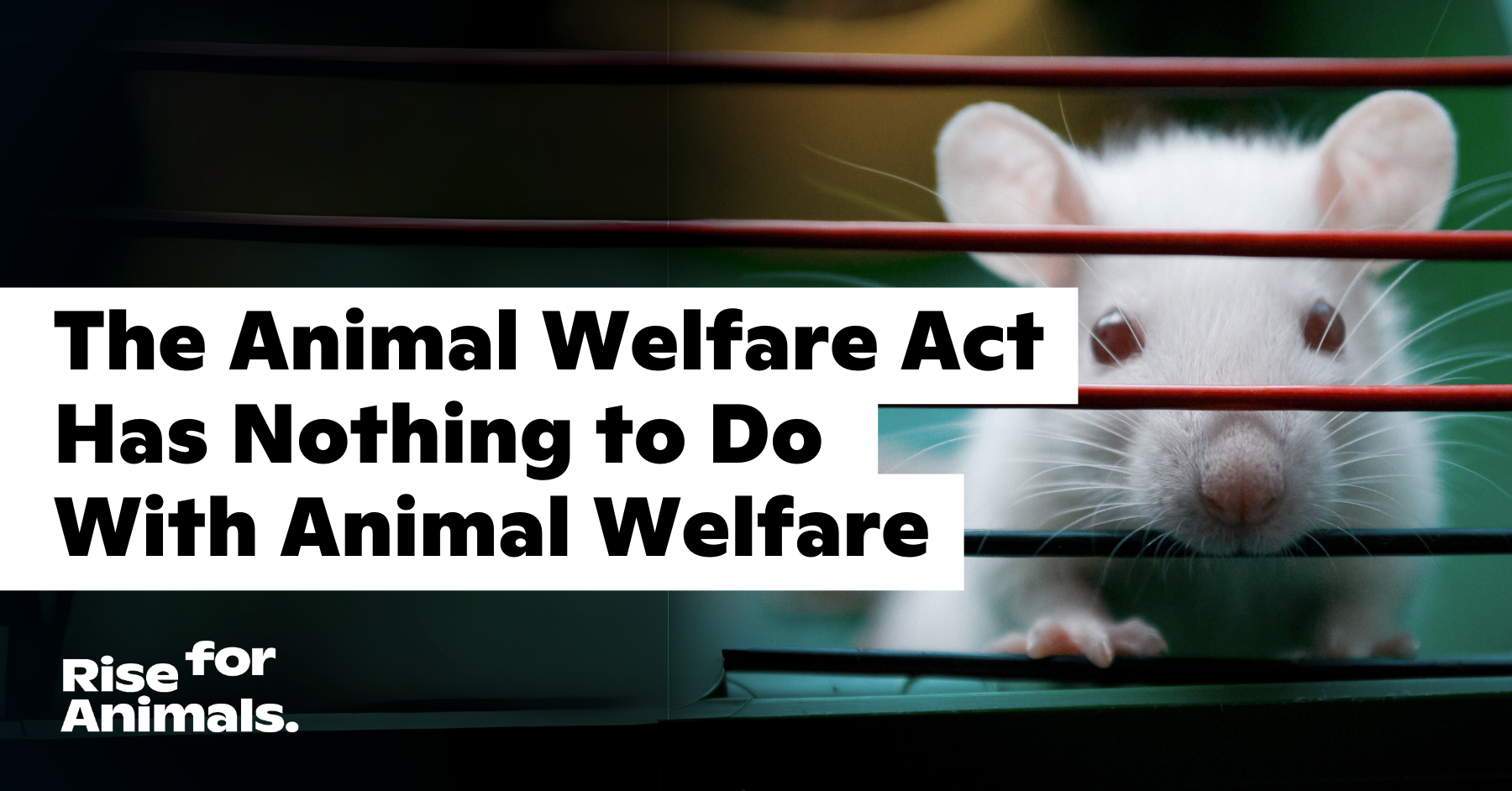 The Animal Welfare Act Has Nothing To Do With Animal Welfare – Rise For ...