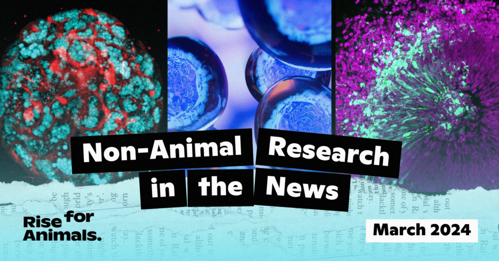 Non-Animal Research in the News: March 2024 – Rise for Animals