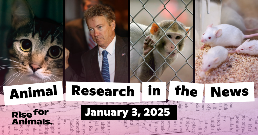 Animal Research News Roundup January 3, 2025 Rise for Animals