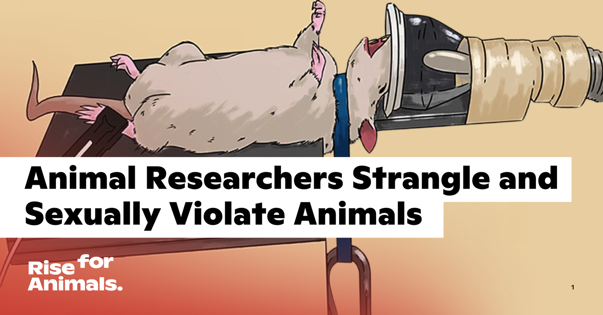 Animal Researchers Strangle and Sexually Violate Animals – Rise for Animals