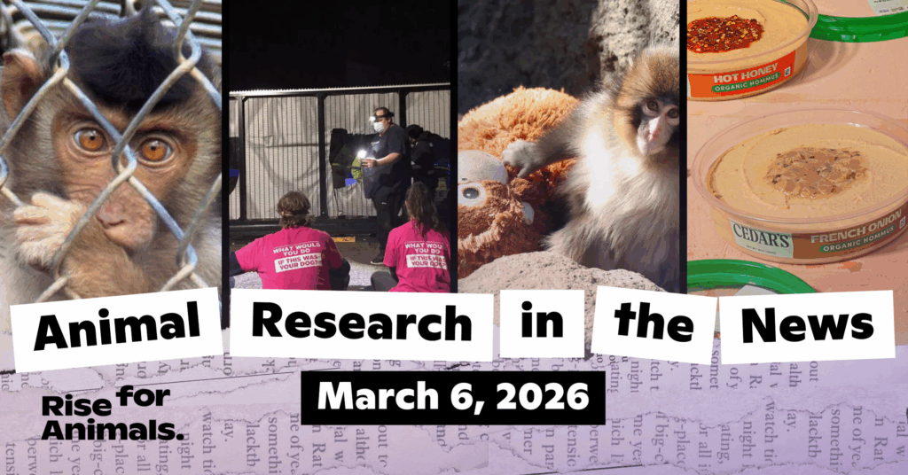 Animal Research News Roundup: March 6, 2026 – Rise for Animals