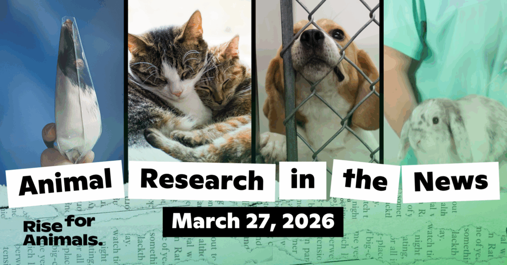 Animal Research News Roundup: March 27, 2026 – Rise for Animals
