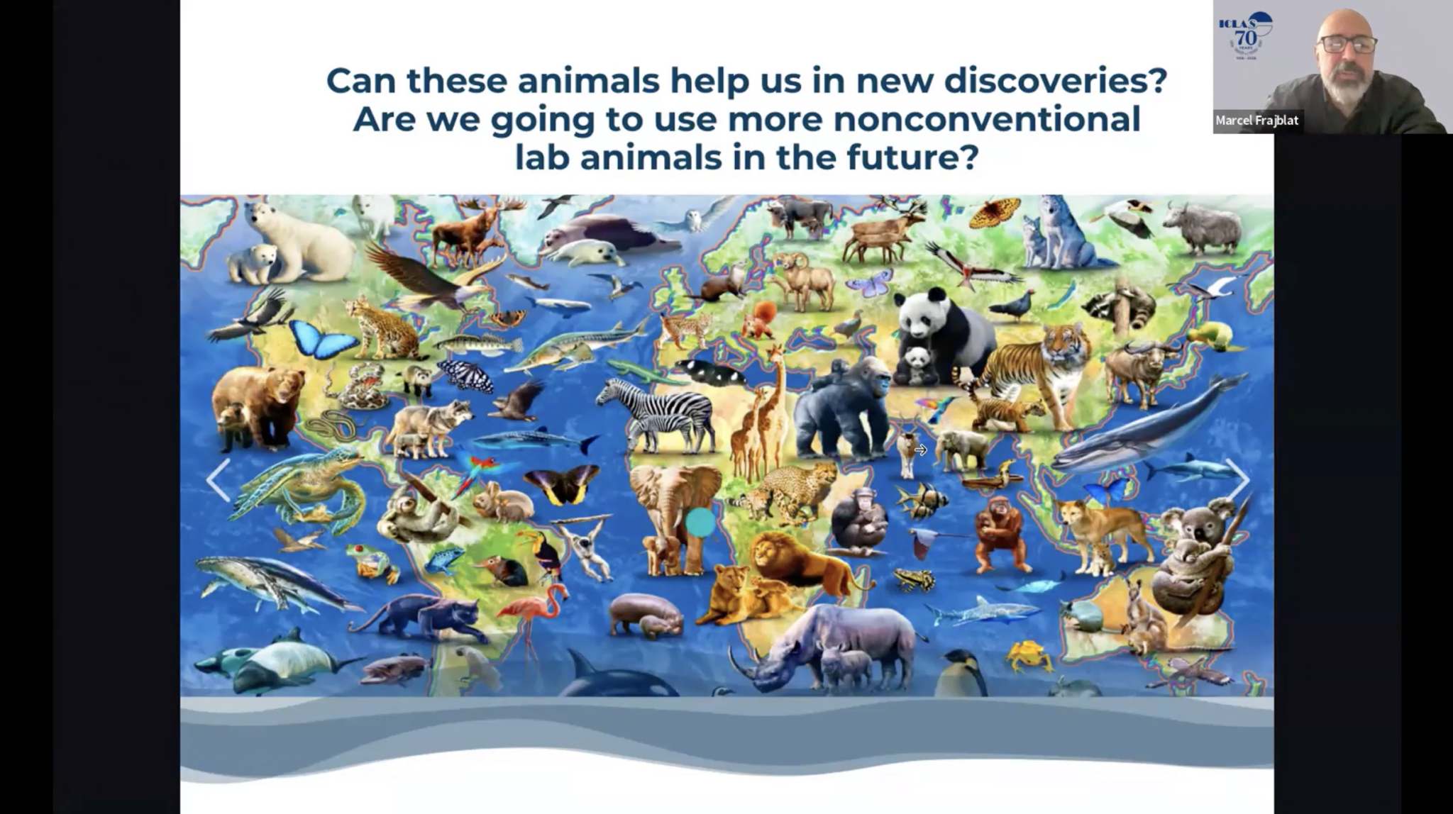 Animal Researchers Plan for Expansion, New Victims by 2050 – Rise for ...